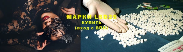прущие грибы Балахна