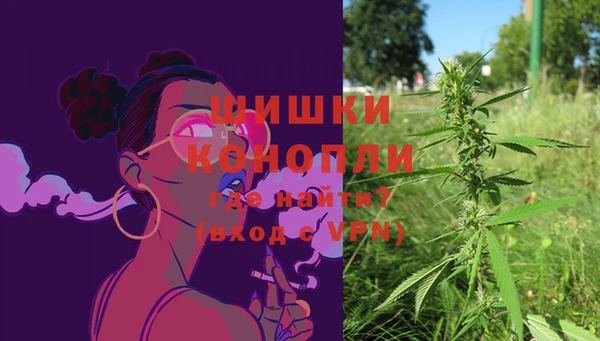 прущие грибы Балахна