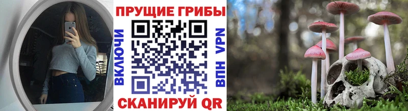 Псилоцибиновые грибы MAGIC MUSHROOMS  Балтийск 
